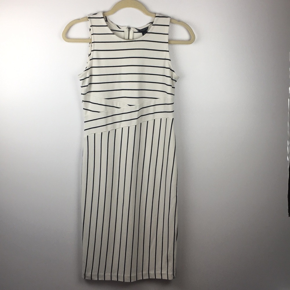 Ann Taylor Petite Striped Sleeveless Dress 4